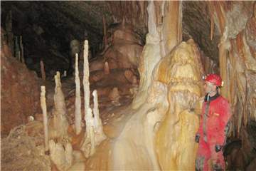 Wissenschaftler untersuchten Kalkstalagmiten aus zwei rumänischen Höhlen und schlossen aus den Daten, dass es vor etwa 44.000 und vor 40.000 Jahren extreme Kälteperioden gab. Foto: PNAS