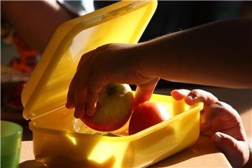 Woher kommt der Apfel im Winter? Kinder kann man mit Gesprächen für das Thema Ernährung sensibilisieren. Foto: Bernd Wüstneck/dpa