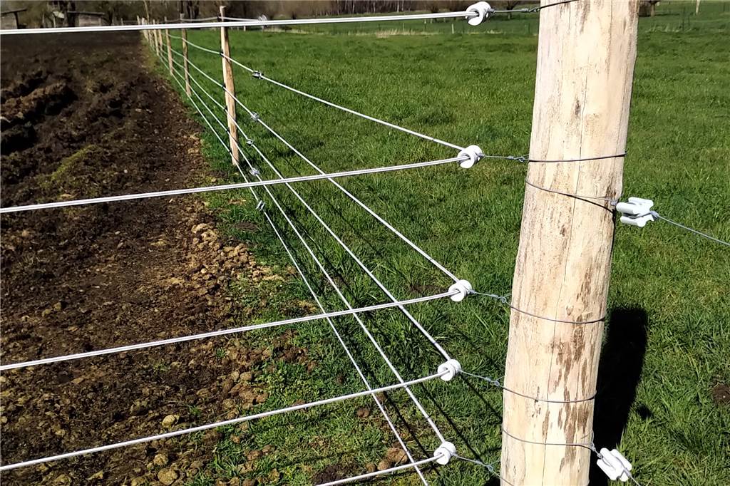 Wolfsgebiet: Kopfschütteln über Zaunvorgaben für Pferdehalter Wolfgang Take von der Landwirtschaftskammer fotografierte diesen Zaun in Niedersachsen mit sechs stromführenden Litzen. In NRW sollen auch Zäune mit fünf Litzen gefördert werden können.