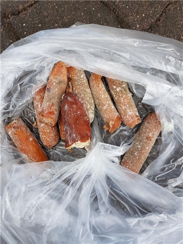 Wolfgang Wischerhoff hat die Wurststückchen eingesammelt und in die braune Tonne geworfen.