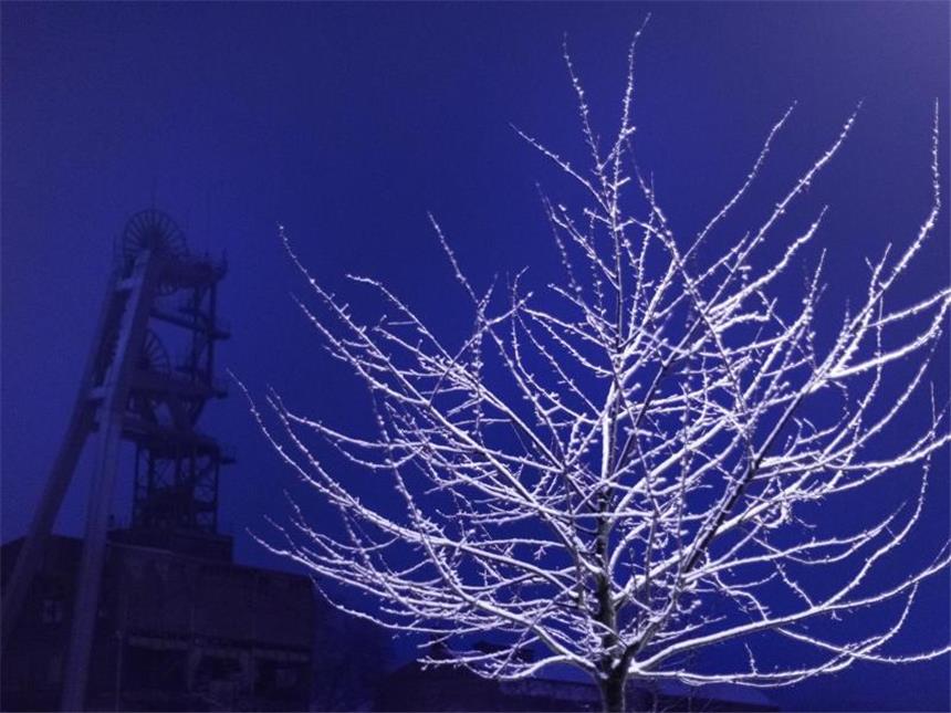 Wintereinbruch in NRW: Unfalltote und Bahn-Probleme Wunderbare Winterpracht auf einem Baum in Herten.
