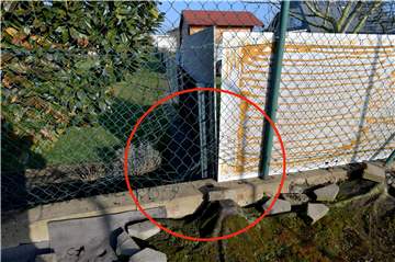 Zäune waren für das Wildschein im Hermann-Löns-Weg kein großes Hindernis, es fand immer einen Weg.