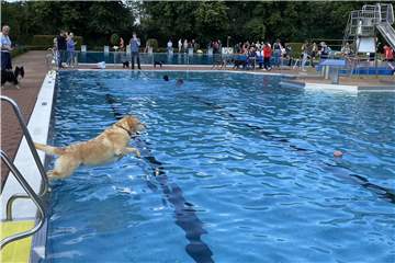 Zahlreiche Vierbeiner sprangen am Samstag (18.9.) ins kühle Nass des Selmer Freibades.