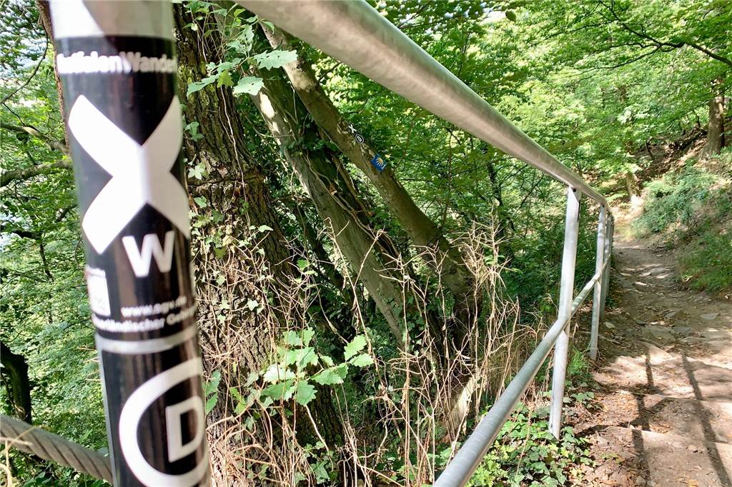 Zahlreiche Wanderwege führen den steilen Weg vom Hengsteysee hinauf. Der ist mit Seilen und Bügeln gesichert.