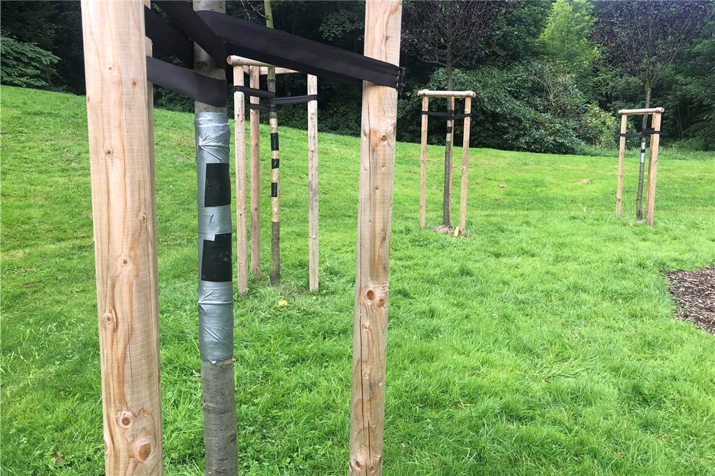 Vandalismus an Gedenkstätte im Goldschmieding-Park: Bäume geköpft Zehn der elf Bäume wurden beschädigt oder zerstört. Die Stadt hat bereits die Wunden im Stamm versorgt.