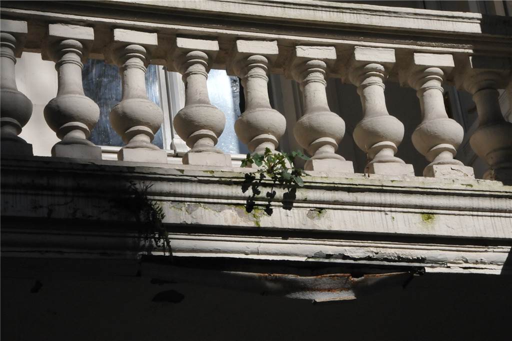 Traumhaus im Kreuzviertel steht seit Monaten leer Zeichen des Verfalls: Am Balkon des Hauses am Neuen Graben 11 wuchert das Unkraut, der Putz ist abgeplatzt.