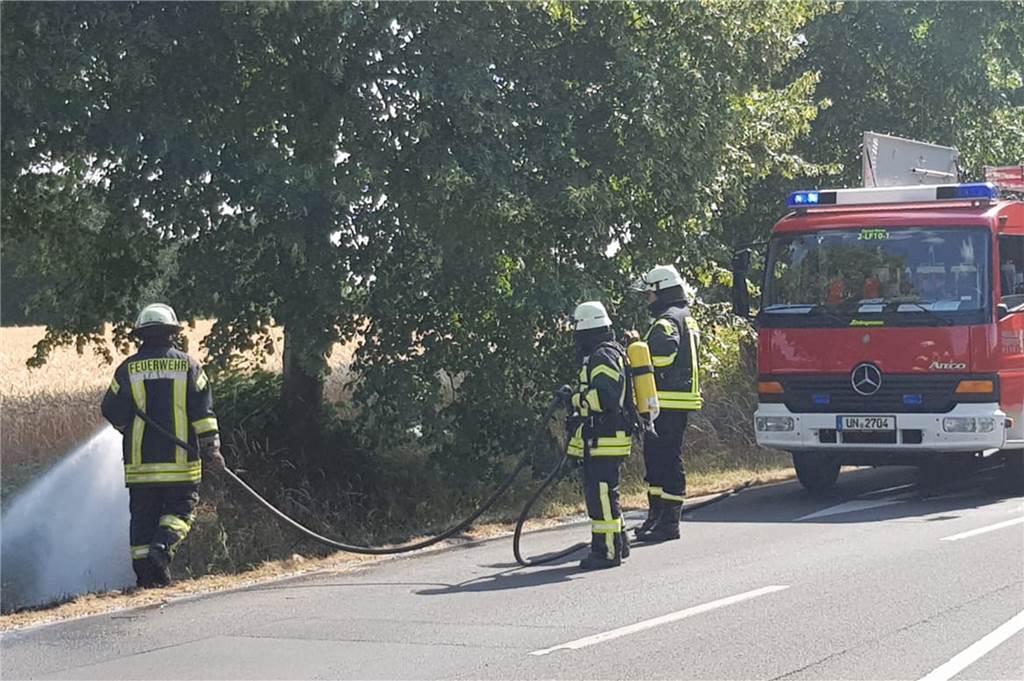 Feuerwehr löscht gleich drei Brände an einem Tag und warnt die Bevölkerung Zeitweise liefen drei Einsätze der Feuerwehr parallel, ein Auffahrunfall und zwei Brände.