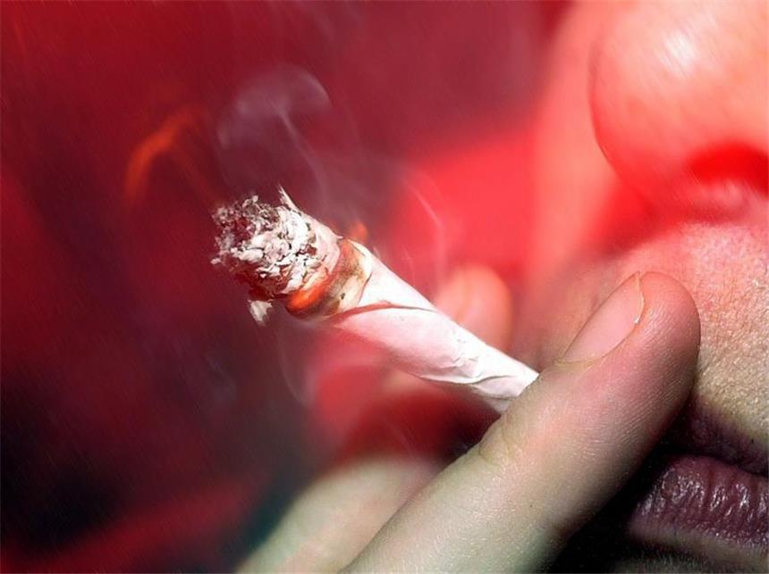 Zivilfahnder schnappen mutmaßlichen Drogenkurier Zivilfahnder fanden Haschisch (rund 3,5 kg) und Marihuana (rund 200g).