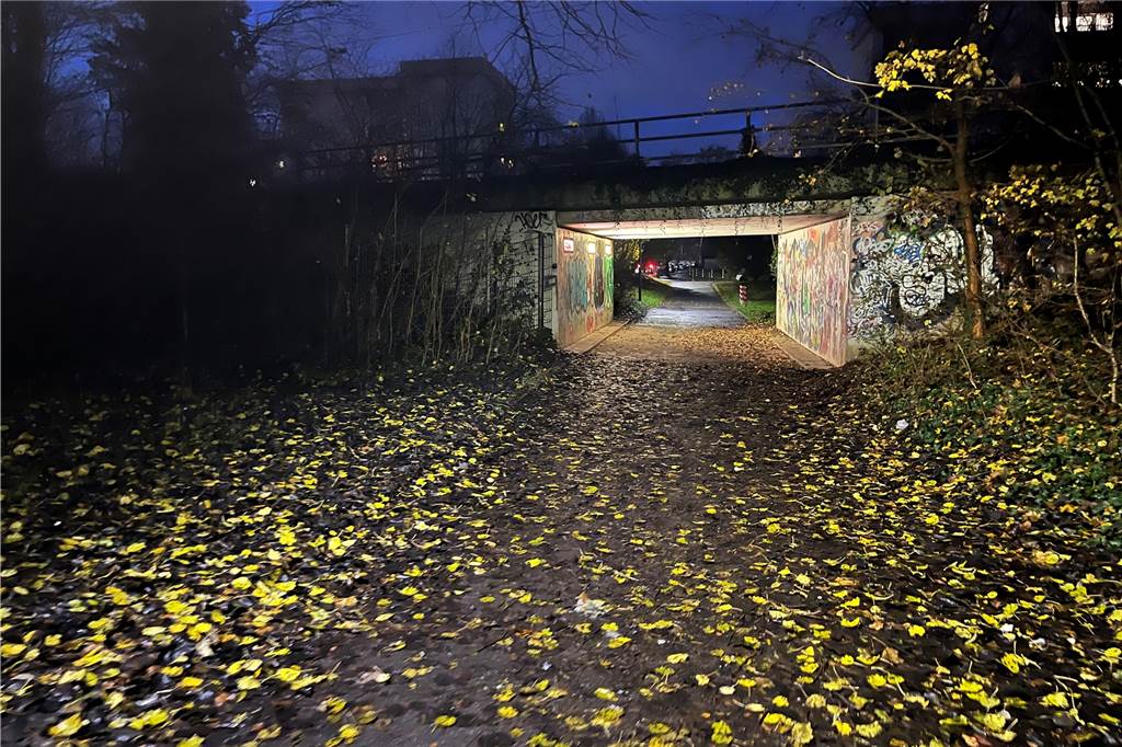 Zu dunkel: Einen Angstraum bildet nach Ansicht der Scharnhorster Bezirksvertretung der Weg zwischen Sattelweg und Stadtbahnhaltestelle Kirchderne