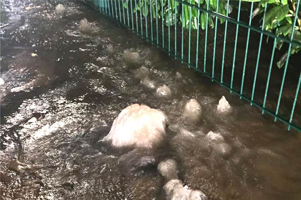 Erneuter Wasserrohrbruch in der Silvesterstraße Zu einem Wasserrohrbruch an der Silvesterstraße in Erle wurde die Feuerwehr am Dienstag um 23.46 Uhr gerufen.