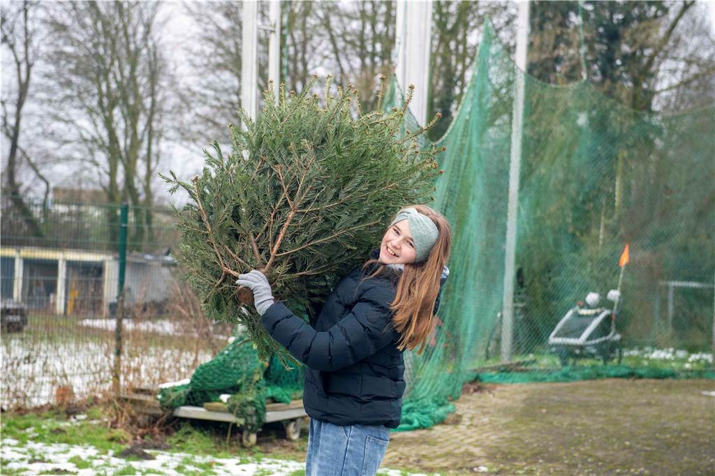 Zum ersten Mal fand in Sythen ein Wettbewerb im Weihnachtsbaum-Werfen statt. Das ist wahrlich nicht nur ein "Sport" für Männer - und für Teilnehmer und Zuschauer ein großer Spaß.