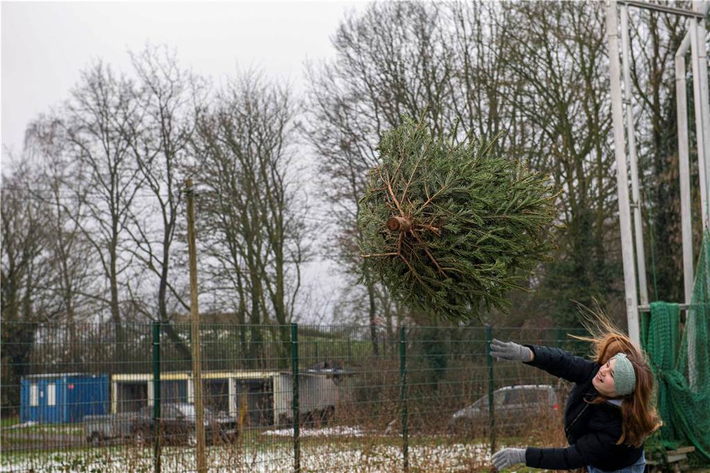 Zum ersten Mal fand in Sythen ein Wettbewerb im Weihnachtsbaum-Werfen statt. Das ist wahrlich nicht nur ein "Sport" für Männer - und für Teilnehmer und Zuschauer ein großer Spaß.