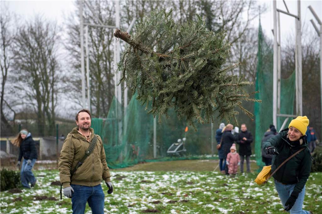 Zum ersten Mal fand in Sythen ein Wettbewerb im Weihnachtsbaum-Werfen statt. Das ist wahrlich nicht nur ein "Sport" für Männer - und für Teilnehmer und Zuschauer ein großer Spaß.