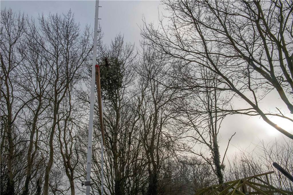 Zum ersten Mal fand in Sythen ein Wettbewerb im Weihnachtsbaum-Werfen statt. Das ist wahrlich nicht nur ein "Sport" für Männer - und für Teilnehmer und Zuschauer ein großer Spaß.