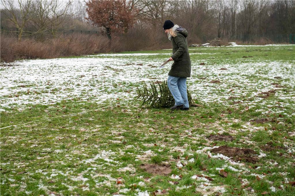 Zum ersten Mal fand in Sythen ein Wettbewerb im Weihnachtsbaum-Werfen statt. Das ist wahrlich nicht nur ein "Sport" für Männer - und für Teilnehmer und Zuschauer ein großer Spaß.
