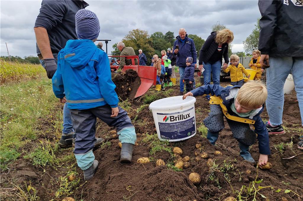 Zum gemeinsamen Kartoffelernten des Kartoffelklubs Ahle und dem Familienzentrum Heek fanden sich in Ahle am Moorbach viele große und kleine Helfer.