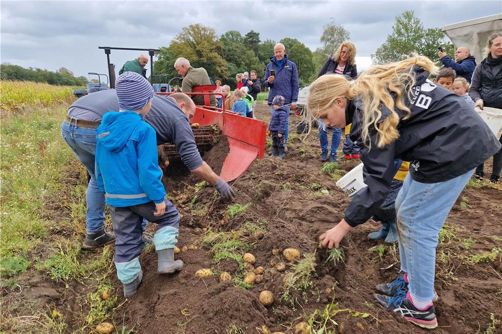 Zum gemeinsamen Kartoffelernten des Kartoffelklubs Ahle und dem Familienzentrum Heek fanden sich in Ahle am Moorbach viele große und kleine Helfer.