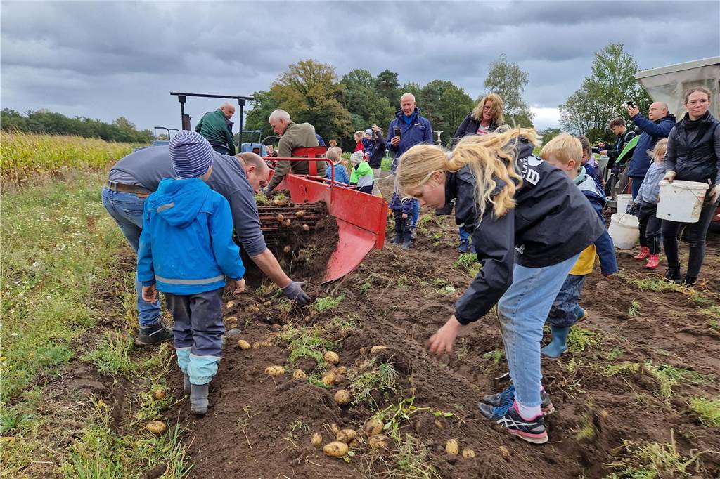 Zum gemeinsamen Kartoffelernten des Kartoffelklubs Ahle und dem Familienzentrum Heek fanden sich in Ahle am Moorbach viele große und kleine Helfer.