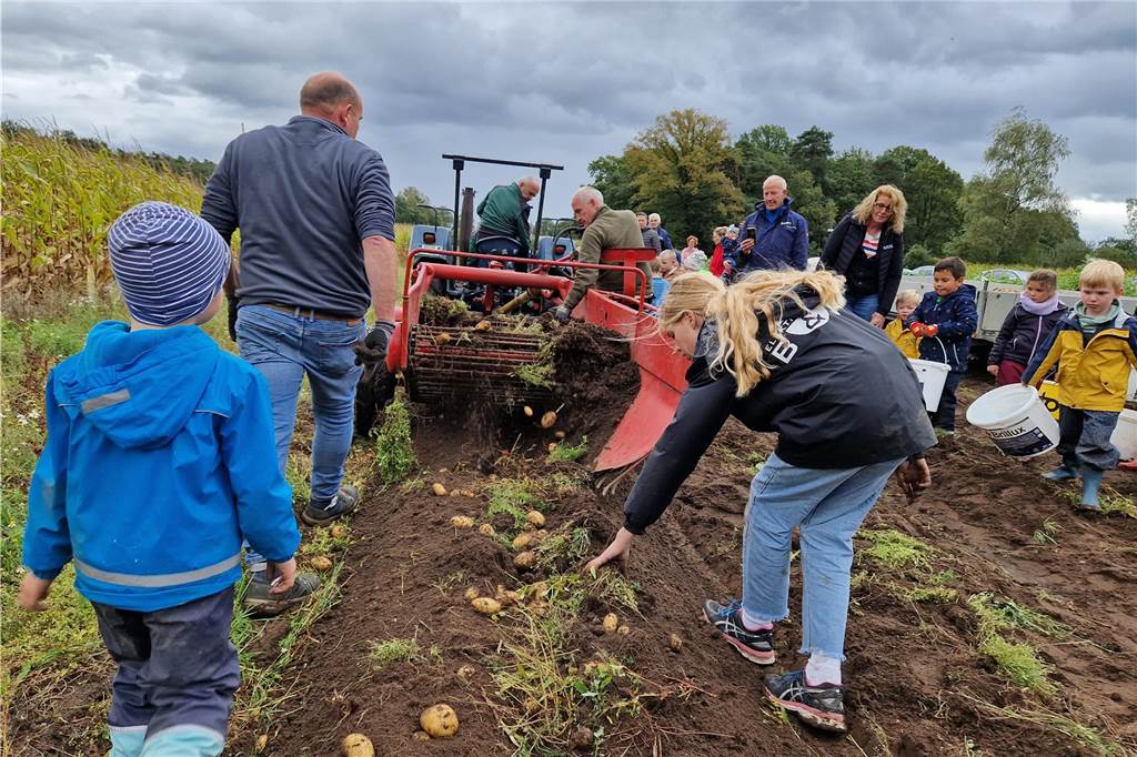 Zum gemeinsamen Kartoffelernten des Kartoffelklubs Ahle und dem Familienzentrum Heek fanden sich in Ahle am Moorbach viele große und kleine Helfer.