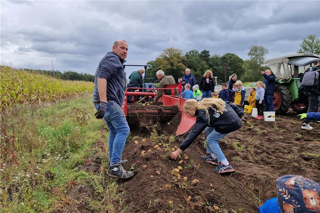Zum gemeinsamen Kartoffelernten des Kartoffelklubs Ahle und dem Familienzentrum Heek fanden sich in Ahle am Moorbach viele große und kleine Helfer.