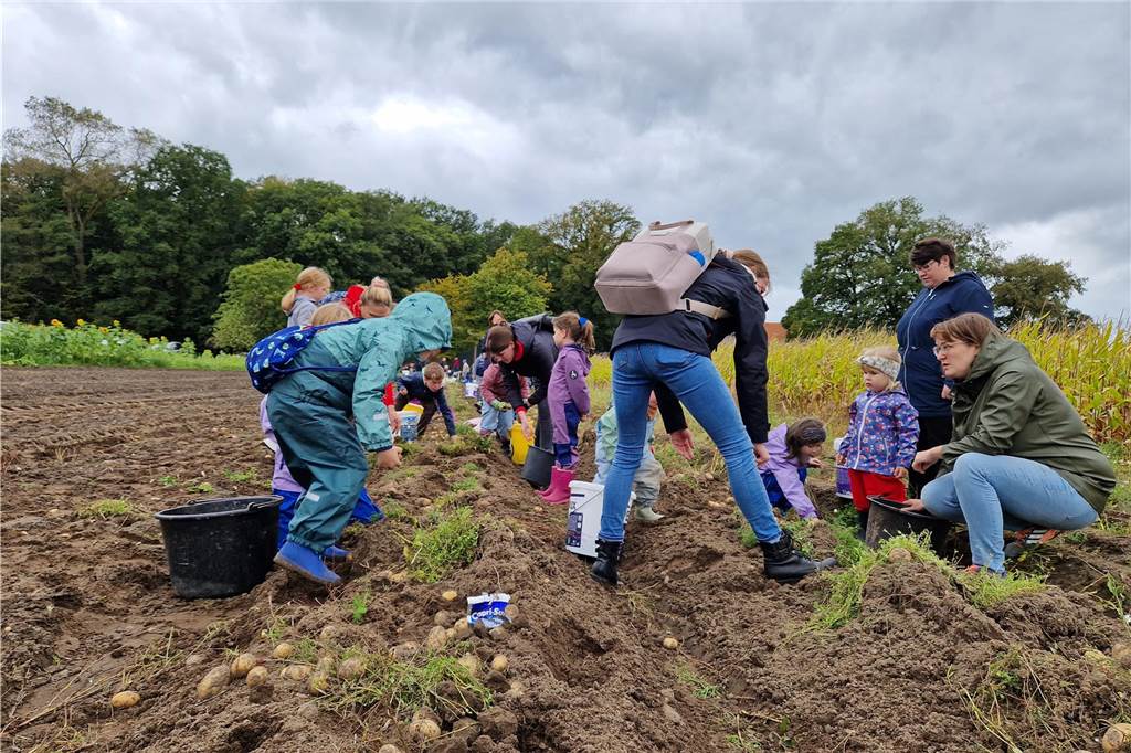 Zum gemeinsamen Kartoffelernten des Kartoffelklubs Ahle und dem Familienzentrum Heek fanden sich in Ahle am Moorbach viele große und kleine Helfer.