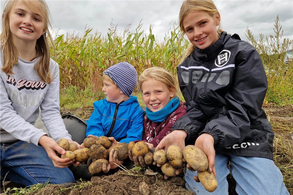 Zum gemeinsamen Kartoffelernten des Kartoffelklubs Ahle und dem Familienzentrum Heek fanden sich in Ahle am Moorbach viele große und kleine Helfer.