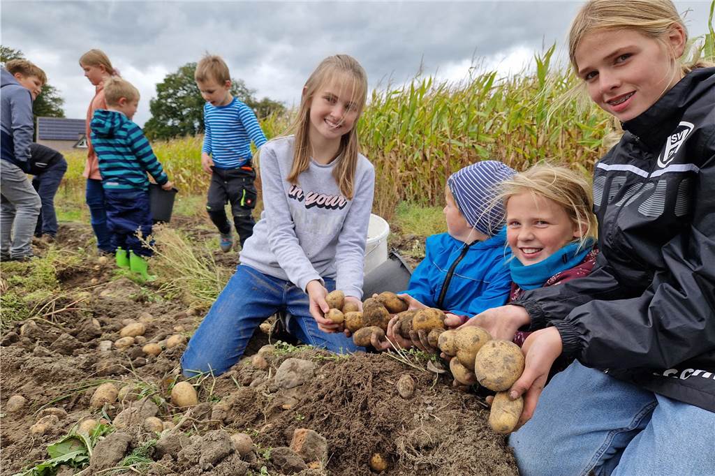 Zum gemeinsamen Kartoffelernten des Kartoffelklubs Ahle und dem Familienzentrum Heek fanden sich in Ahle am Moorbach viele große und kleine Helfer.