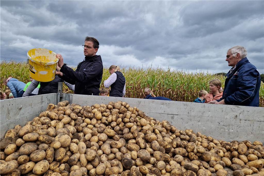 Zum gemeinsamen Kartoffelernten des Kartoffelklubs Ahle und dem Familienzentrum Heek fanden sich in Ahle am Moorbach viele große und kleine Helfer.