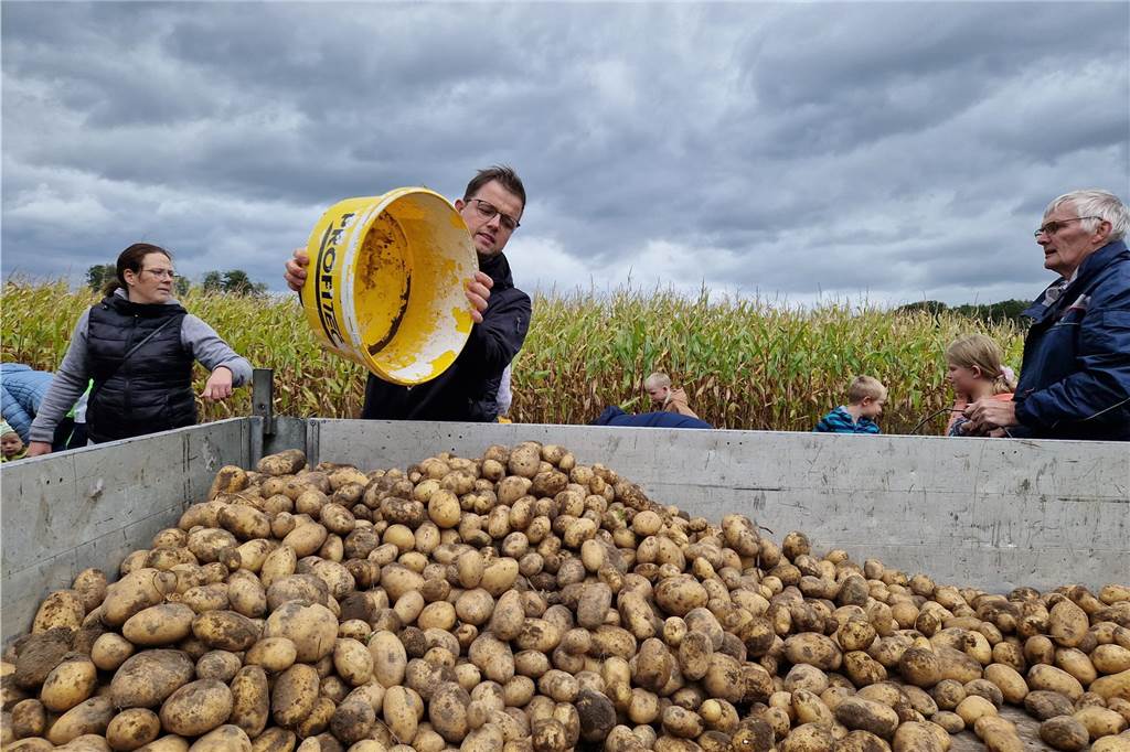 Zum gemeinsamen Kartoffelernten des Kartoffelklubs Ahle und dem Familienzentrum Heek fanden sich in Ahle am Moorbach viele große und kleine Helfer.