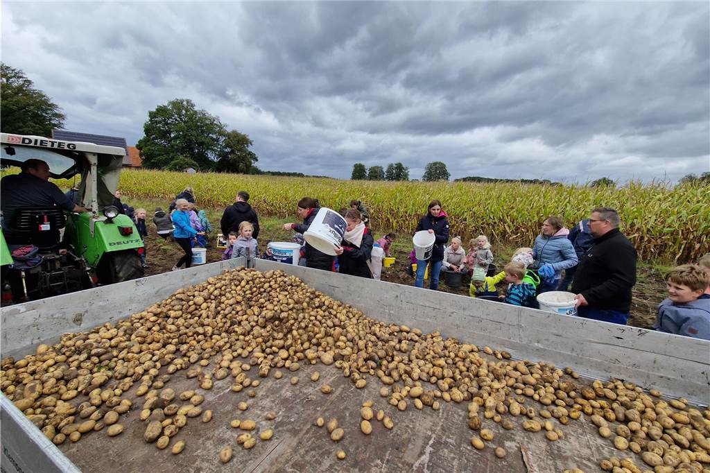 Zum gemeinsamen Kartoffelernten des Kartoffelklubs Ahle und dem Familienzentrum Heek fanden sich in Ahle am Moorbach viele große und kleine Helfer.