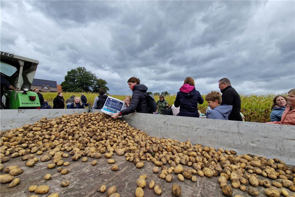 Zum gemeinsamen Kartoffelernten des Kartoffelklubs Ahle und dem Familienzentrum Heek fanden sich in Ahle am Moorbach viele große und kleine Helfer.