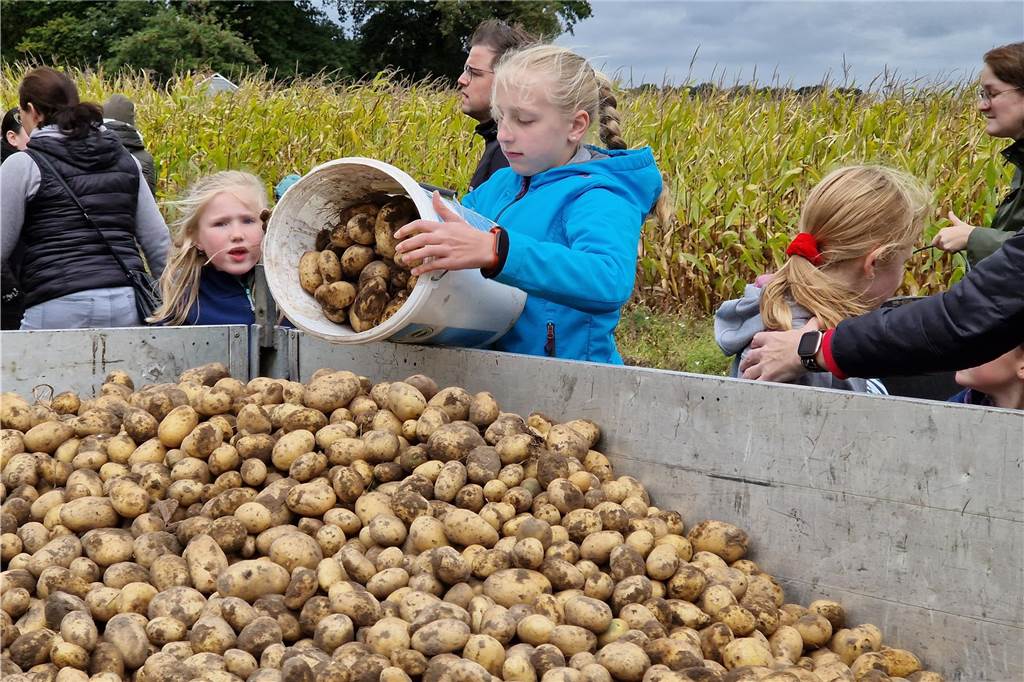 Zum gemeinsamen Kartoffelernten des Kartoffelklubs Ahle und dem Familienzentrum Heek fanden sich in Ahle am Moorbach viele große und kleine Helfer.