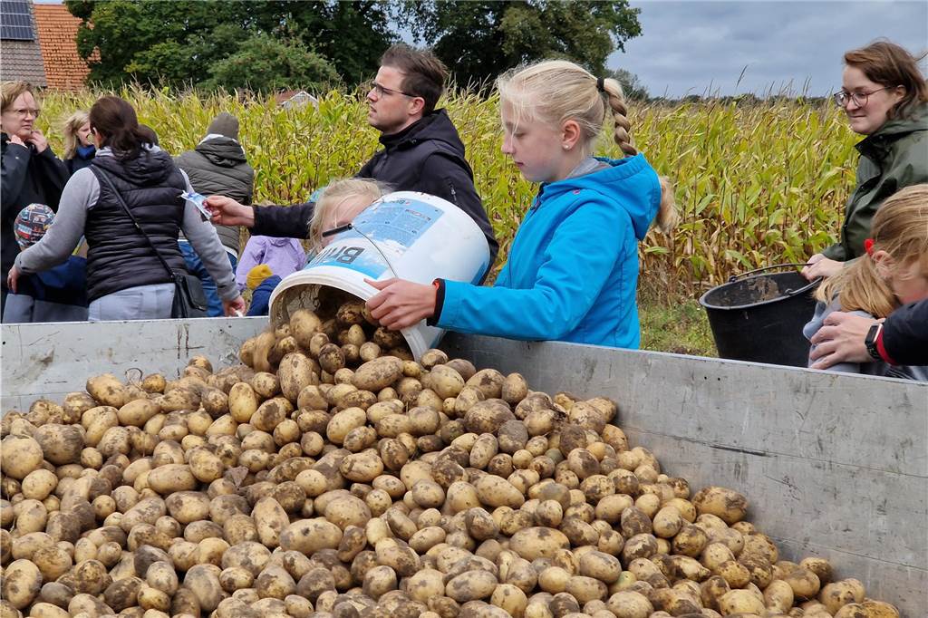 Zum gemeinsamen Kartoffelernten des Kartoffelklubs Ahle und dem Familienzentrum Heek fanden sich in Ahle am Moorbach viele große und kleine Helfer.