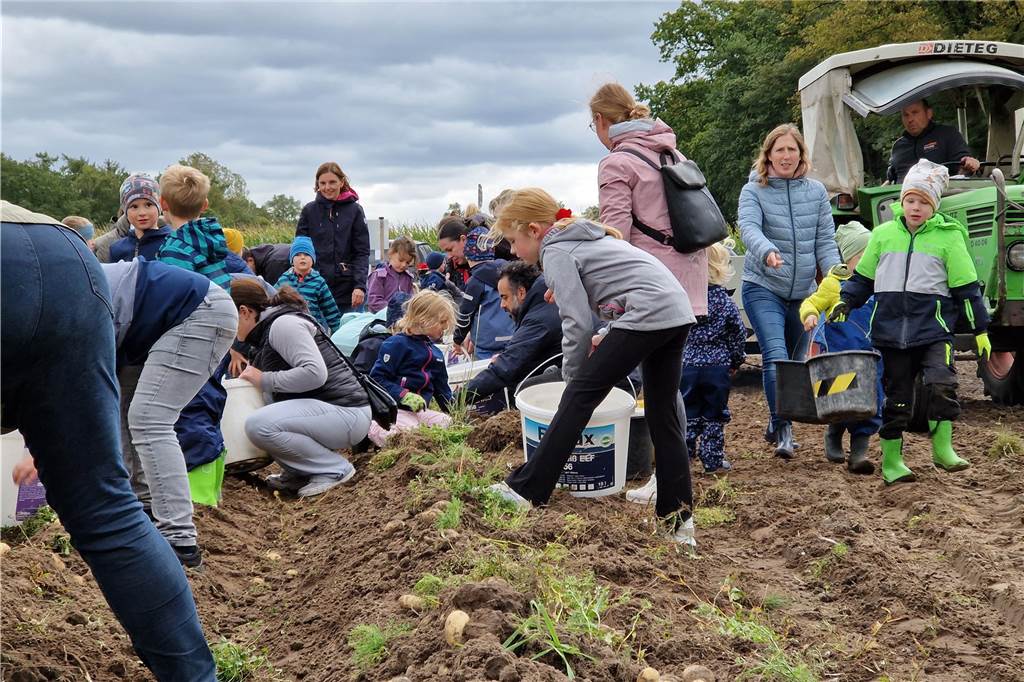 Zum gemeinsamen Kartoffelernten des Kartoffelklubs Ahle und dem Familienzentrum Heek fanden sich in Ahle am Moorbach viele große und kleine Helfer.