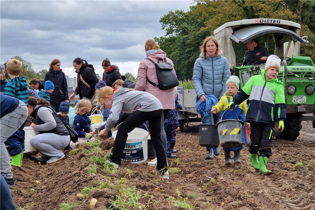 Zum gemeinsamen Kartoffelernten des Kartoffelklubs Ahle und dem Familienzentrum Heek fanden sich in Ahle am Moorbach viele große und kleine Helfer.