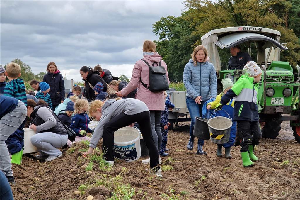 Zum gemeinsamen Kartoffelernten des Kartoffelklubs Ahle und dem Familienzentrum Heek fanden sich in Ahle am Moorbach viele große und kleine Helfer.