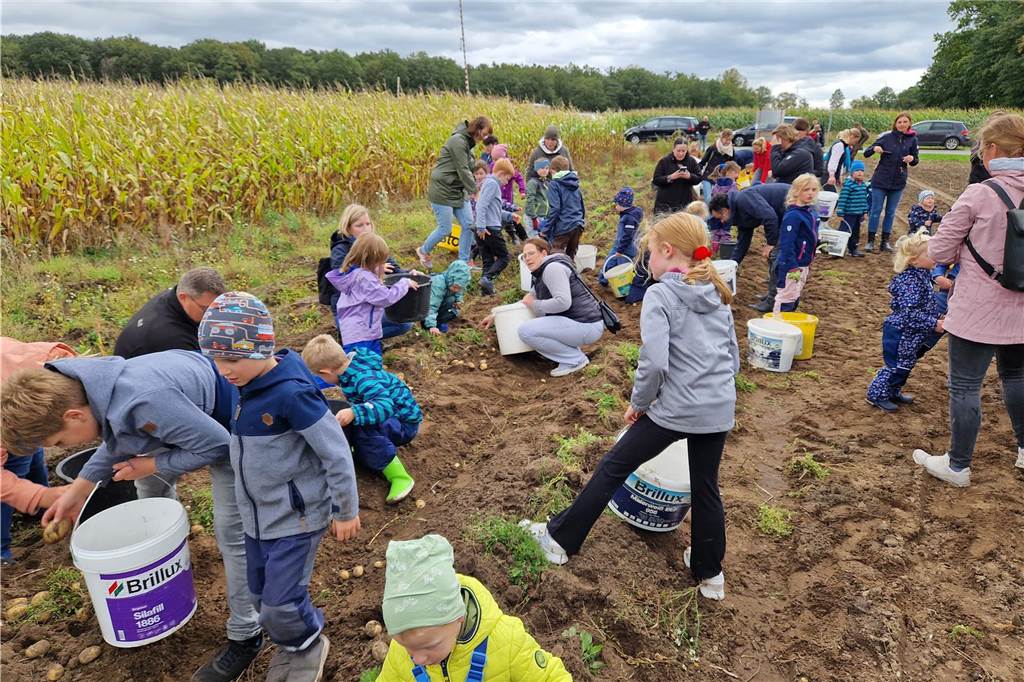 Zum gemeinsamen Kartoffelernten des Kartoffelklubs Ahle und dem Familienzentrum Heek fanden sich in Ahle am Moorbach viele große und kleine Helfer.