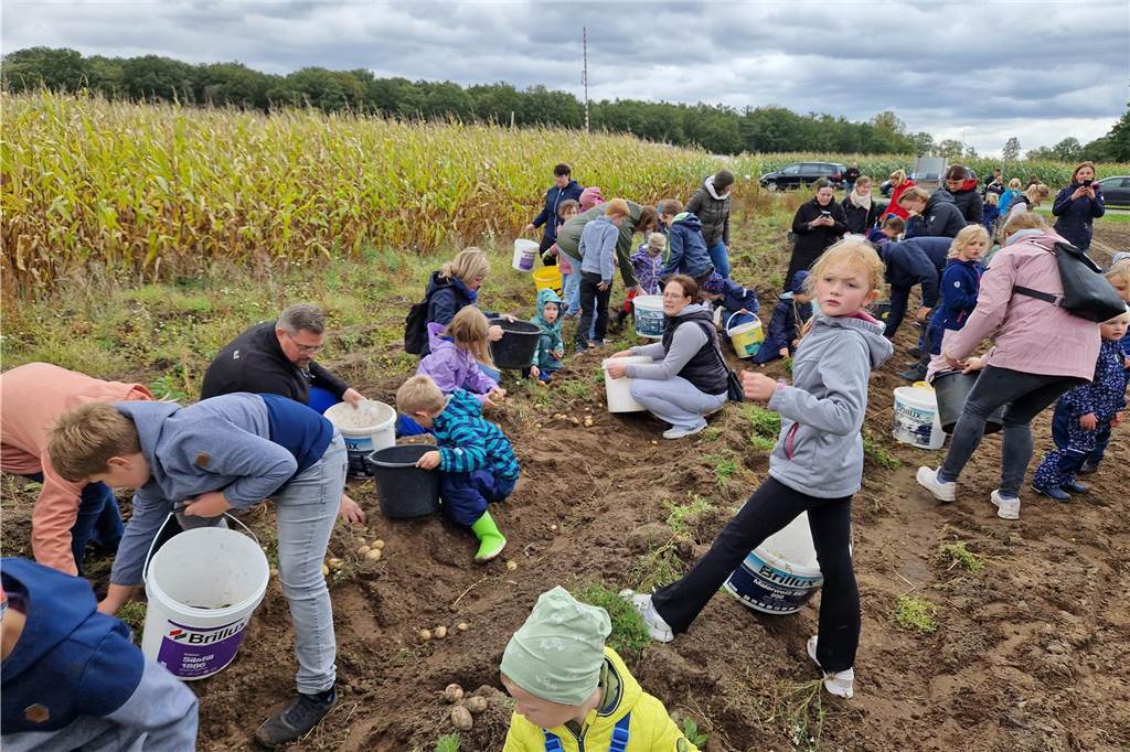 Zum gemeinsamen Kartoffelernten des Kartoffelklubs Ahle und dem Familienzentrum Heek fanden sich in Ahle am Moorbach viele große und kleine Helfer.