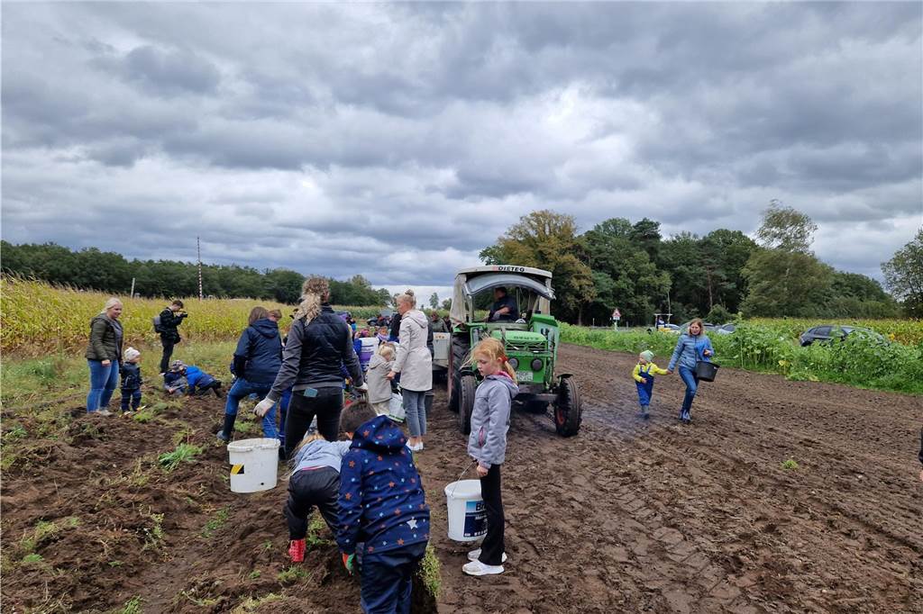 Zum gemeinsamen Kartoffelernten des Kartoffelklubs Ahle und dem Familienzentrum Heek fanden sich in Ahle am Moorbach viele große und kleine Helfer.