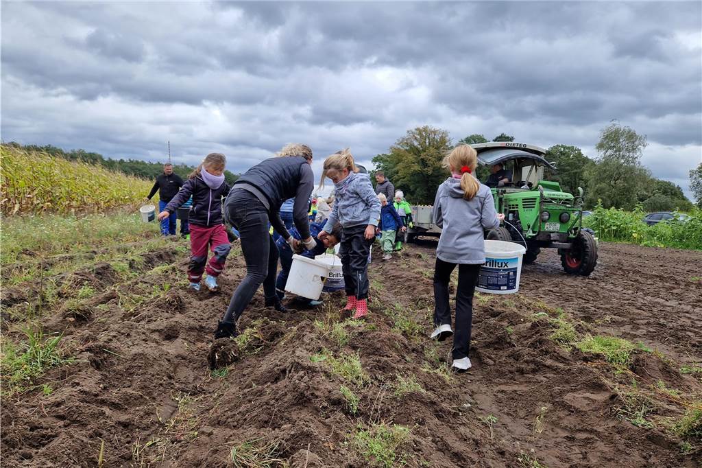 Zum gemeinsamen Kartoffelernten des Kartoffelklubs Ahle und dem Familienzentrum Heek fanden sich in Ahle am Moorbach viele große und kleine Helfer.