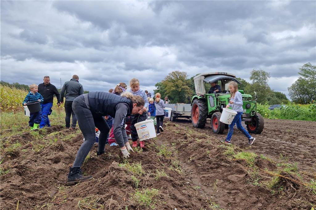 Zum gemeinsamen Kartoffelernten des Kartoffelklubs Ahle und dem Familienzentrum Heek fanden sich in Ahle am Moorbach viele große und kleine Helfer.