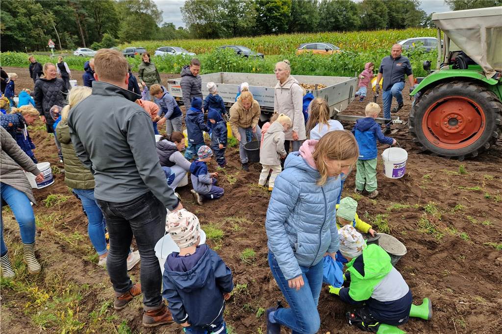 Zum gemeinsamen Kartoffelernten des Kartoffelklubs Ahle und dem Familienzentrum Heek fanden sich in Ahle am Moorbach viele große und kleine Helfer.