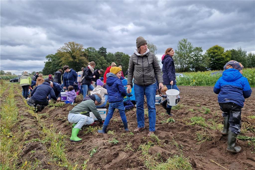 Zum gemeinsamen Kartoffelernten des Kartoffelklubs Ahle und dem Familienzentrum Heek fanden sich in Ahle am Moorbach viele große und kleine Helfer.