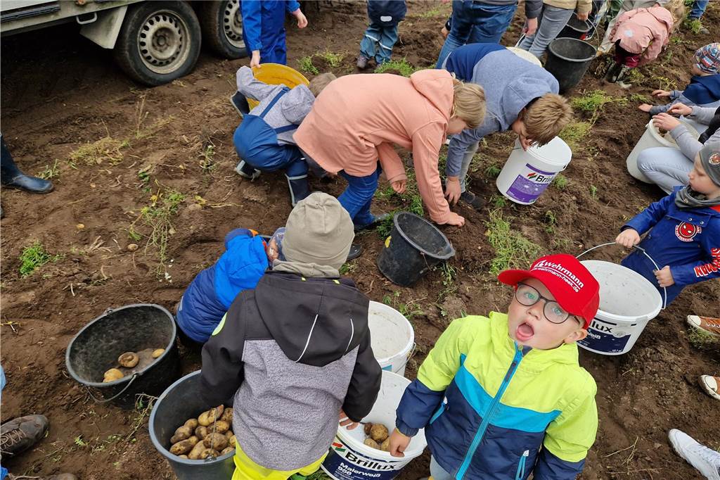 Zum gemeinsamen Kartoffelernten des Kartoffelklubs Ahle und dem Familienzentrum Heek fanden sich in Ahle am Moorbach viele große und kleine Helfer.