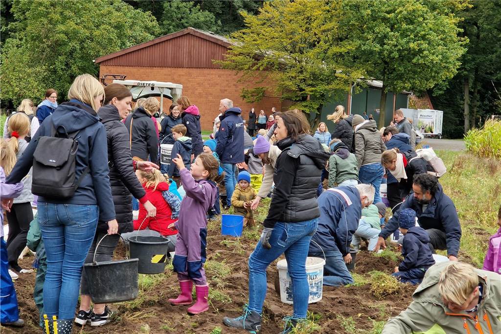 Zum gemeinsamen Kartoffelernten des Kartoffelklubs Ahle und dem Familienzentrum Heek fanden sich in Ahle am Moorbach viele große und kleine Helfer.