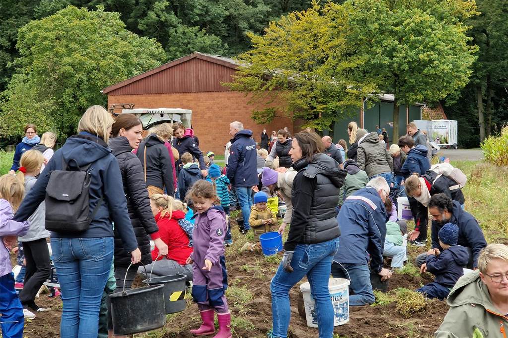 Zum gemeinsamen Kartoffelernten des Kartoffelklubs Ahle und dem Familienzentrum Heek fanden sich in Ahle am Moorbach viele große und kleine Helfer.