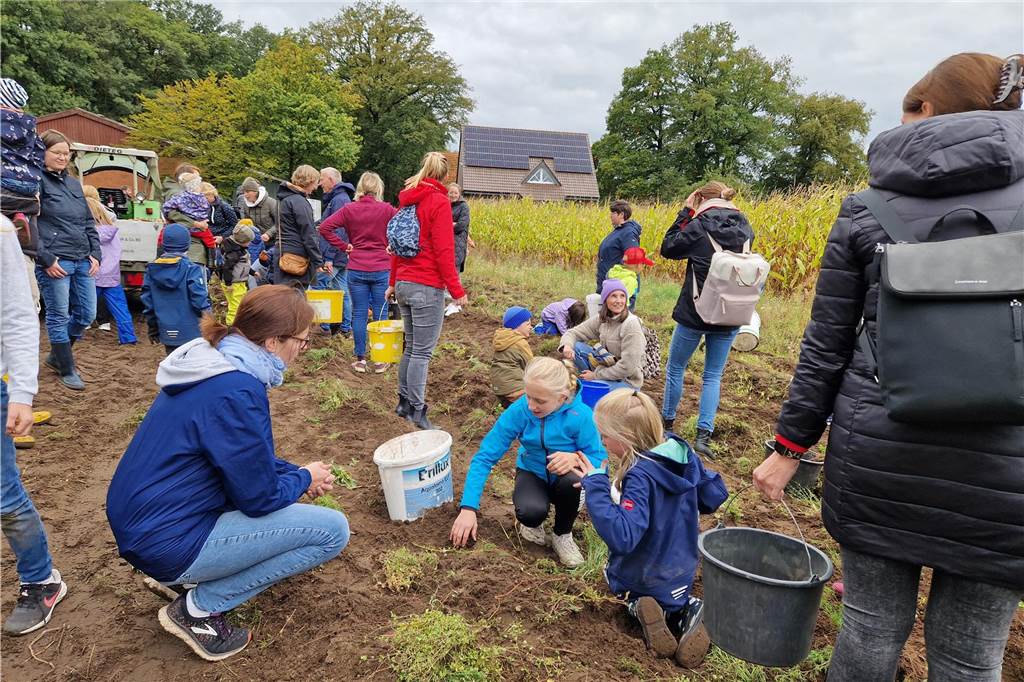 Zum gemeinsamen Kartoffelernten des Kartoffelklubs Ahle und dem Familienzentrum Heek fanden sich in Ahle am Moorbach viele große und kleine Helfer.