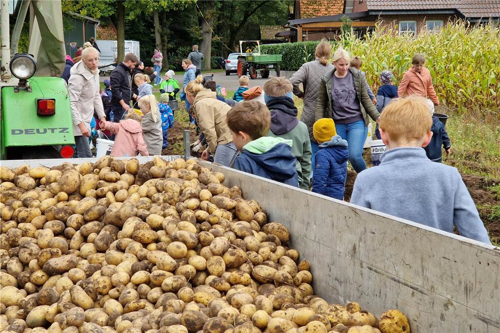 Zum gemeinsamen Kartoffelernten des Kartoffelklubs Ahle und dem Familienzentrum Heek fanden sich in Ahle am Moorbach viele große und kleine Helfer.