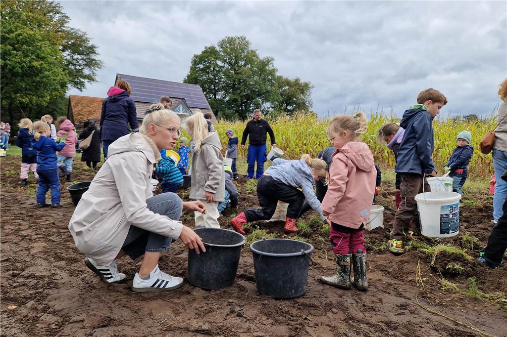 Zum gemeinsamen Kartoffelernten des Kartoffelklubs Ahle und dem Familienzentrum Heek fanden sich in Ahle am Moorbach viele große und kleine Helfer.