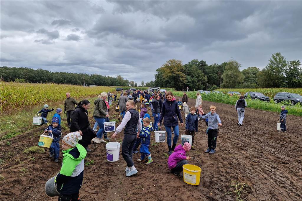 Zum gemeinsamen Kartoffelernten des Kartoffelklubs Ahle und dem Familienzentrum Heek fanden sich in Ahle am Moorbach viele große und kleine Helfer.